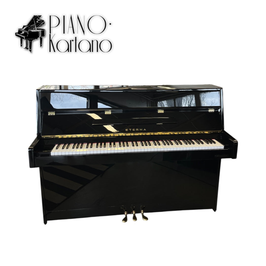 Eterna ER-C10 (Yamaha)