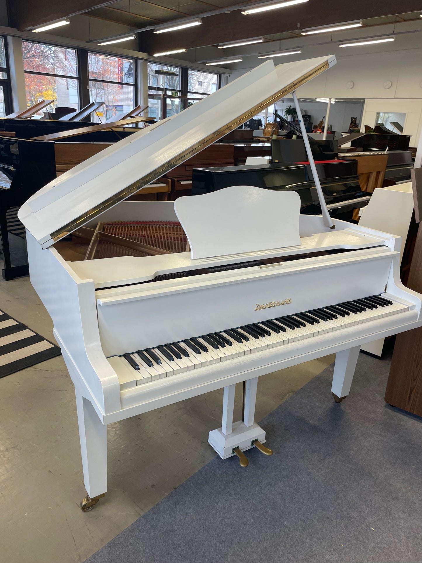Zimmermann 140