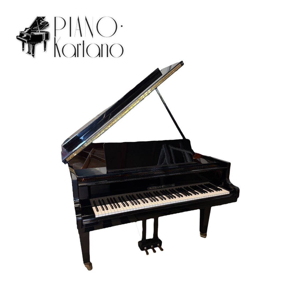 Grotrian Steinweg 189