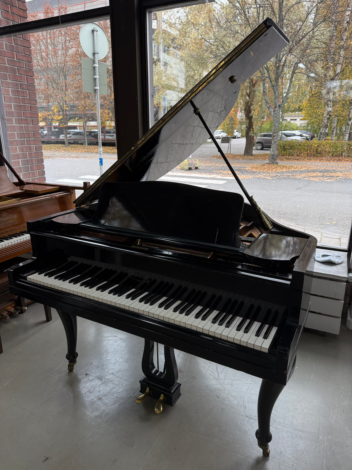 Malmsjö 135 Chippendale