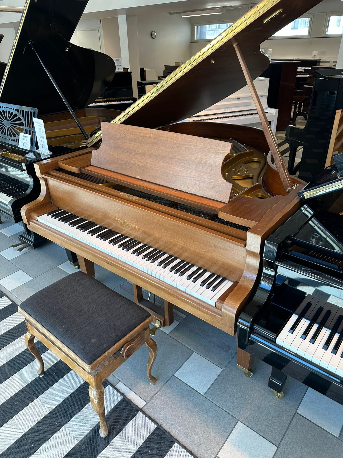 Schimmel 174T