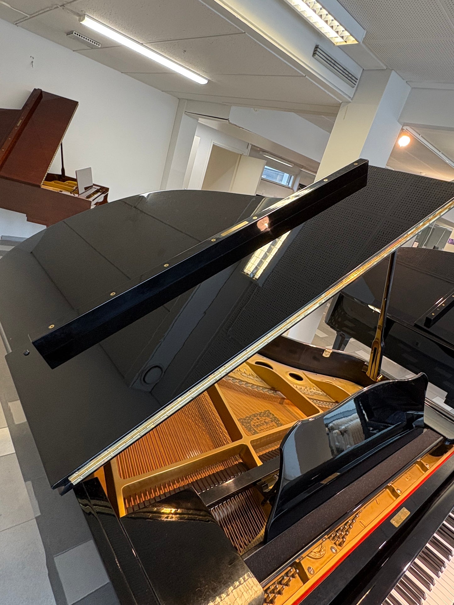 YAMAHA C3 conservatory