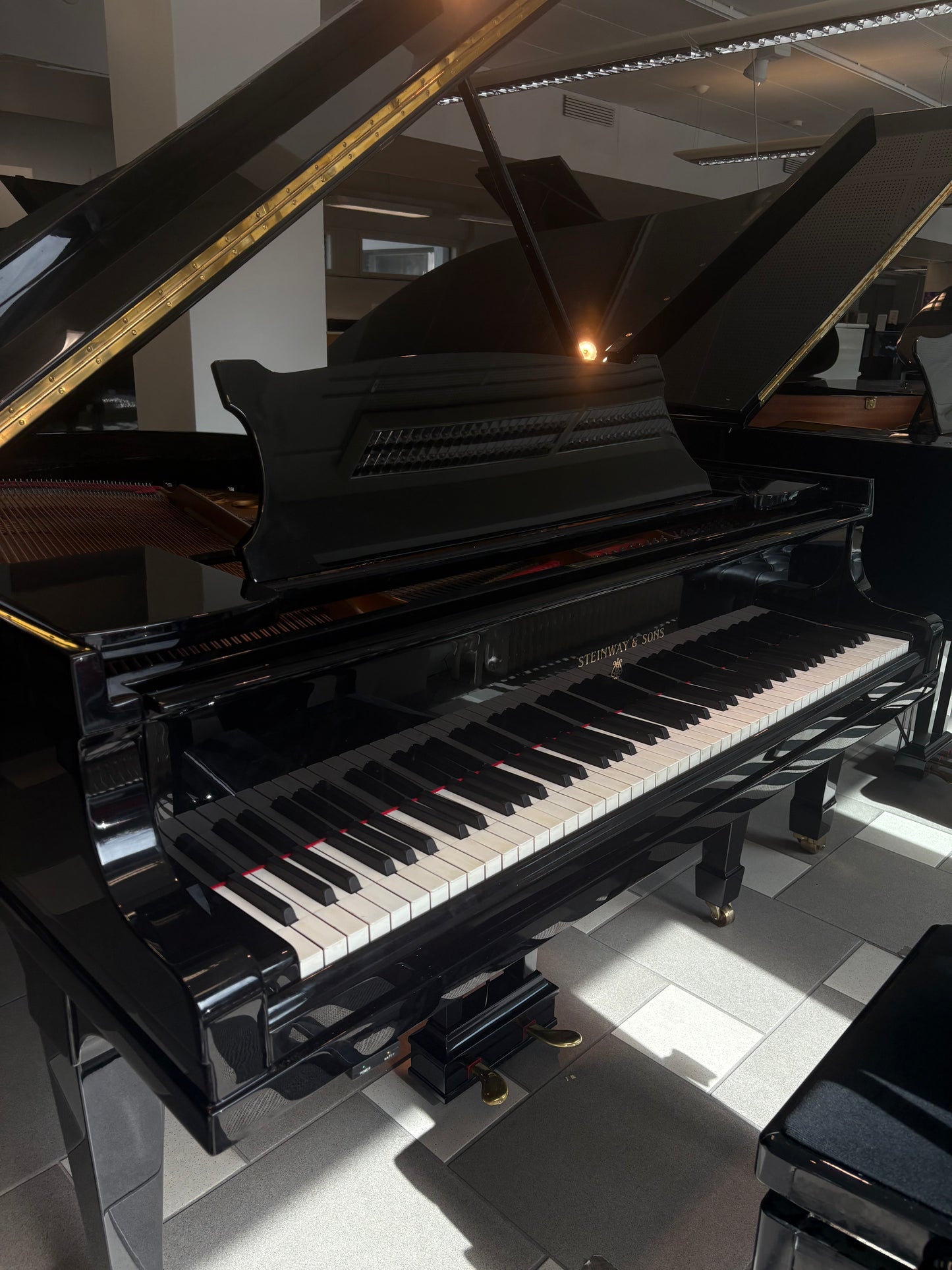 Steinway & Sons M (170)