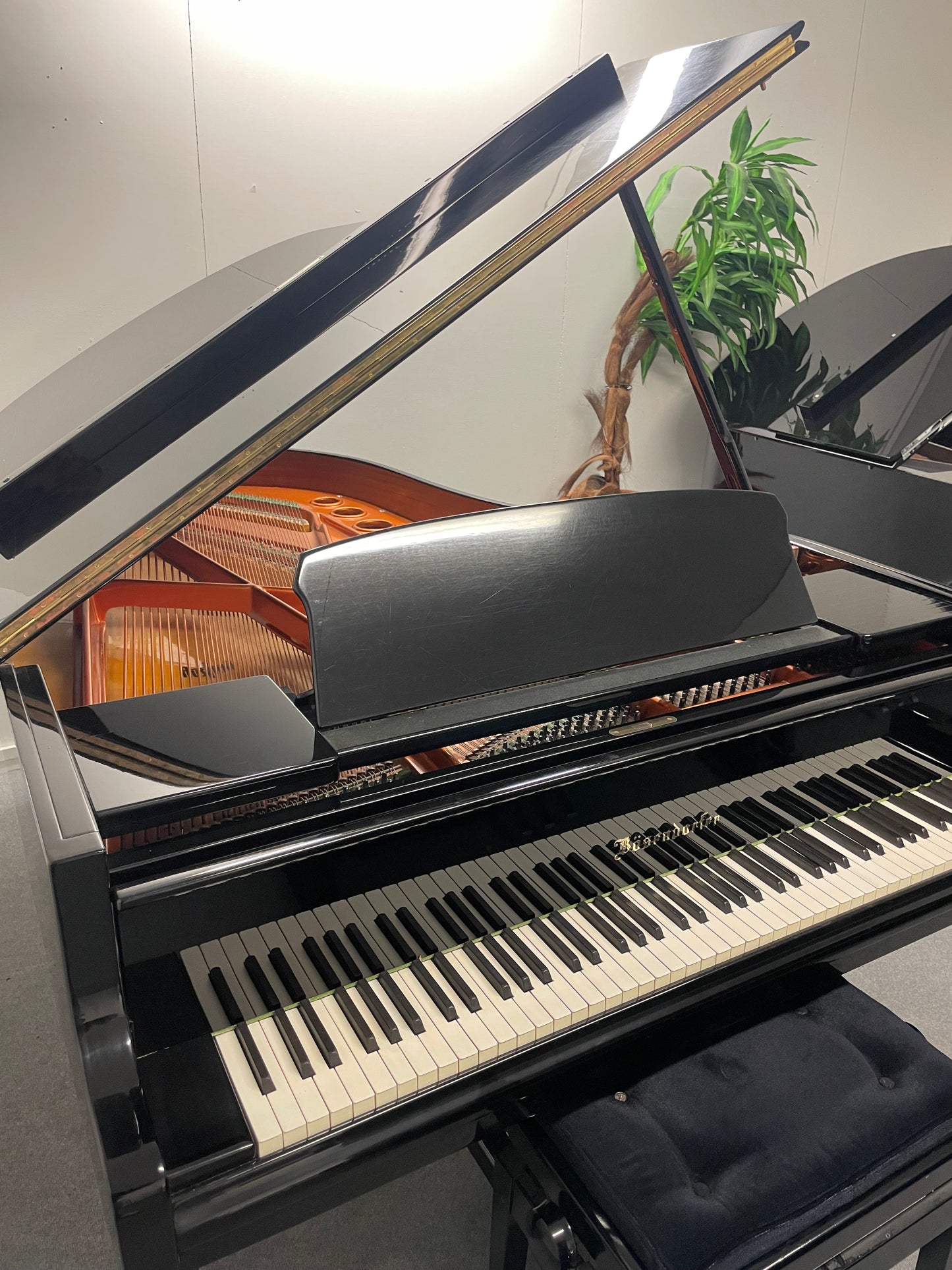 Bösendorfer 185