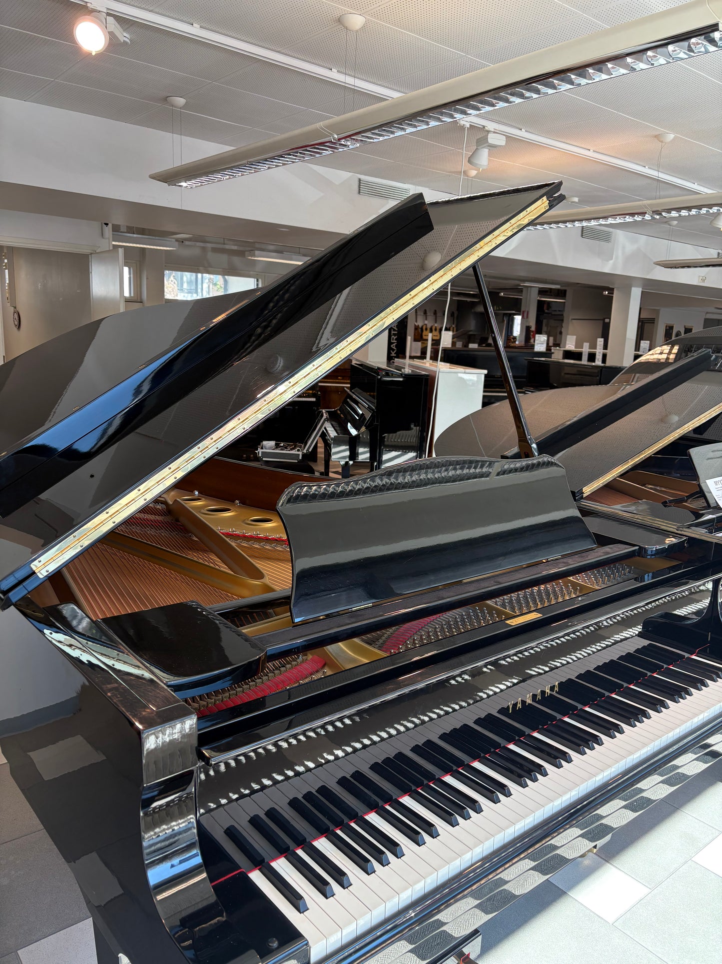 Yamaha C7