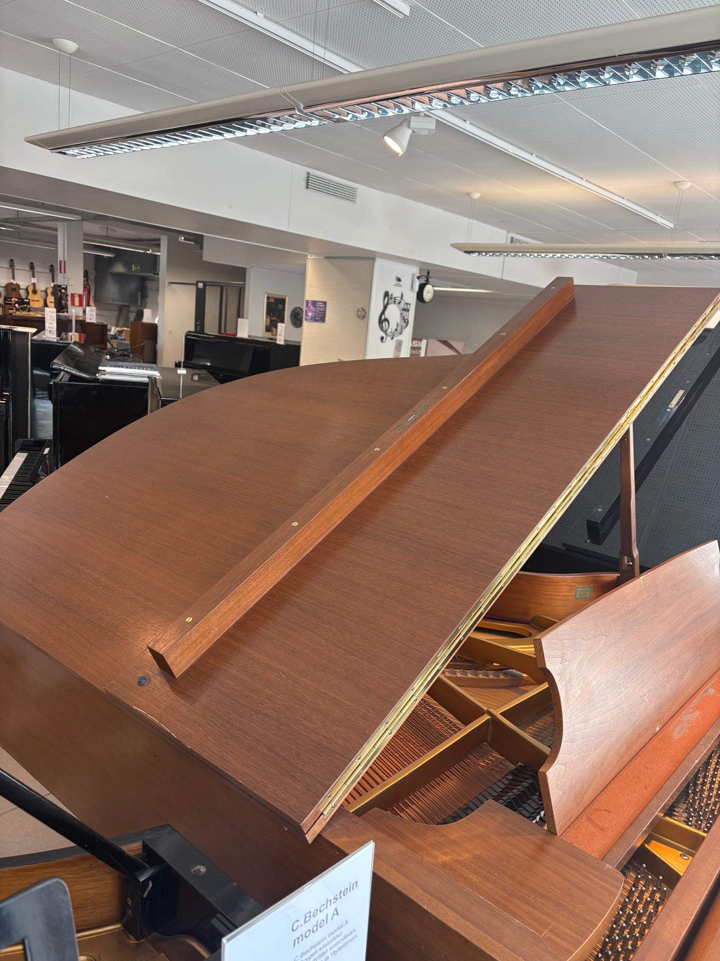 Schimmel 174T