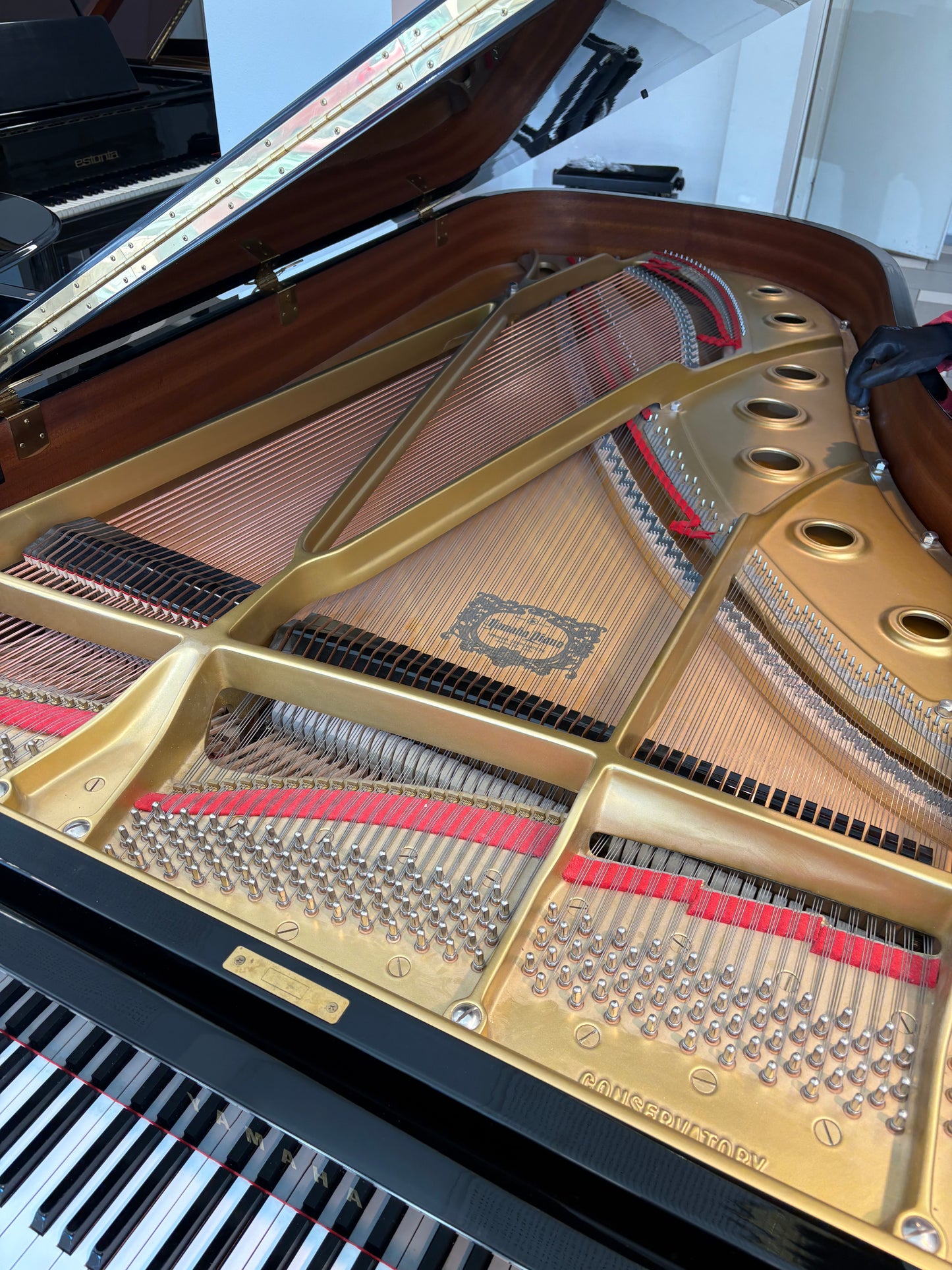 Yamaha C7