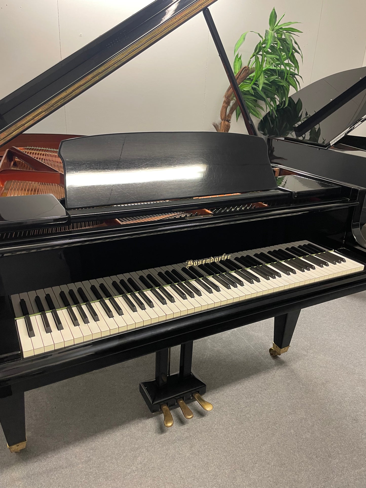 Bösendorfer 185