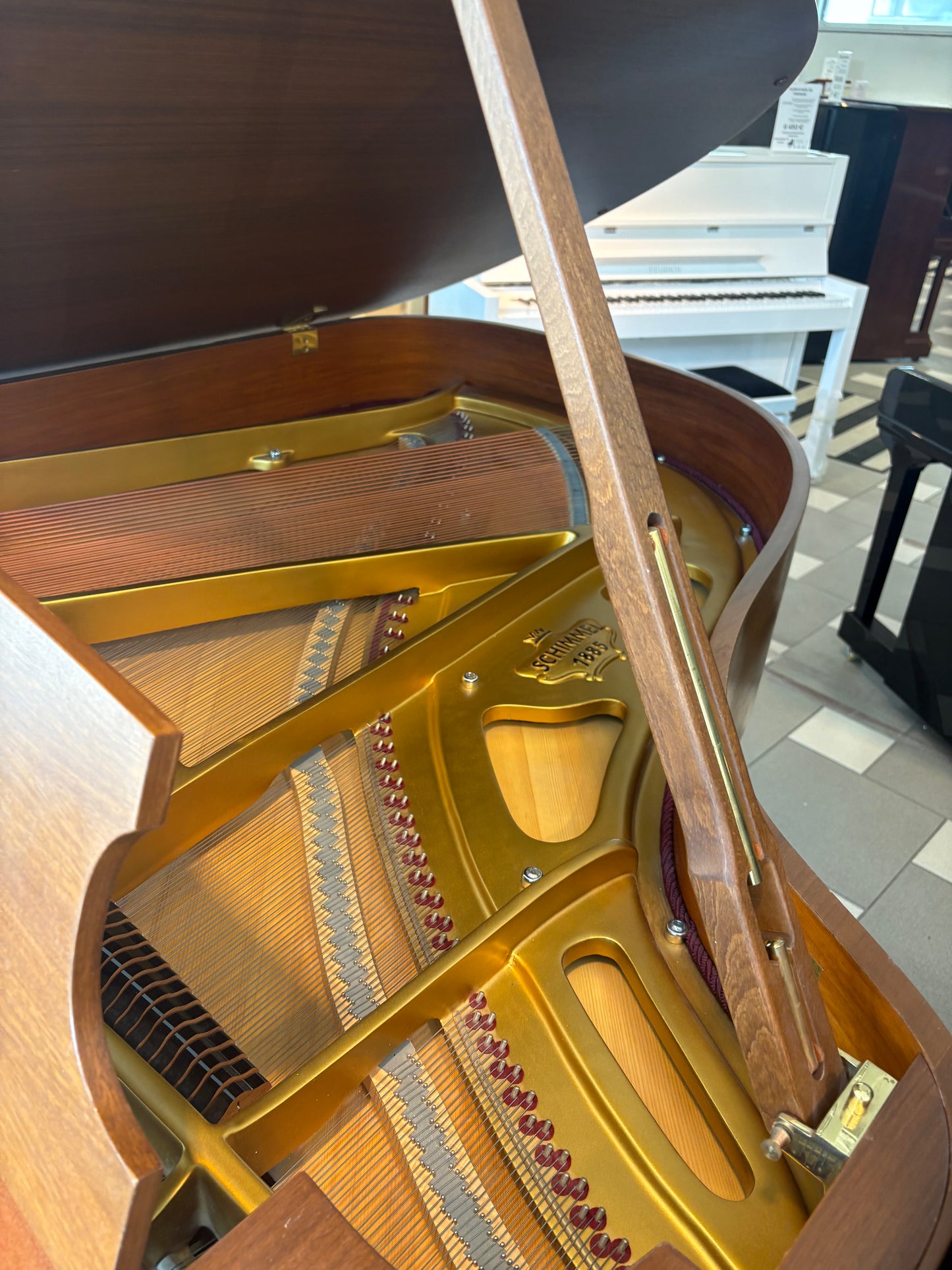 Schimmel 174T