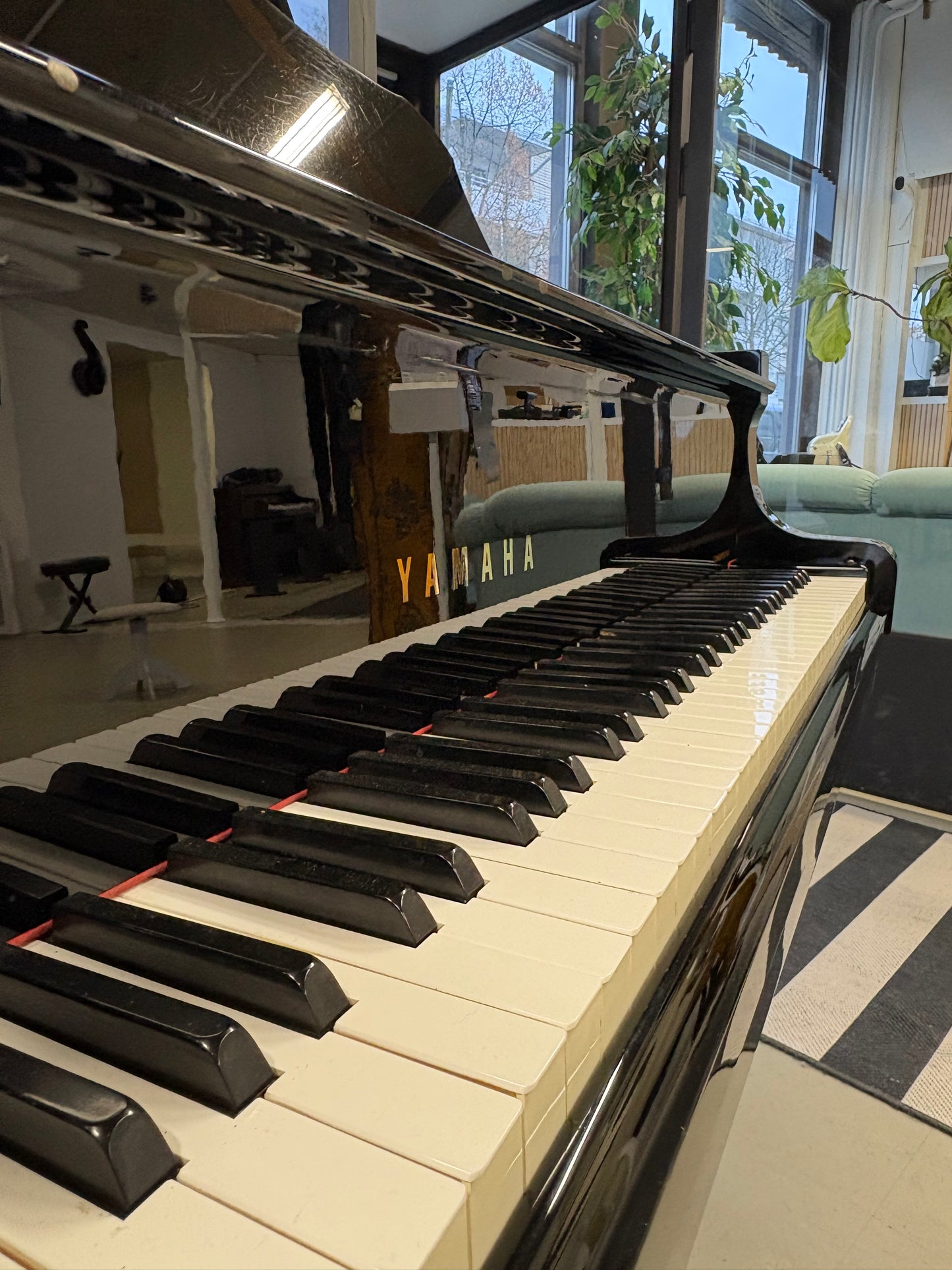 YAMAHA C3 conservatory