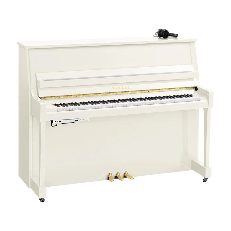 B20 Transacoustic