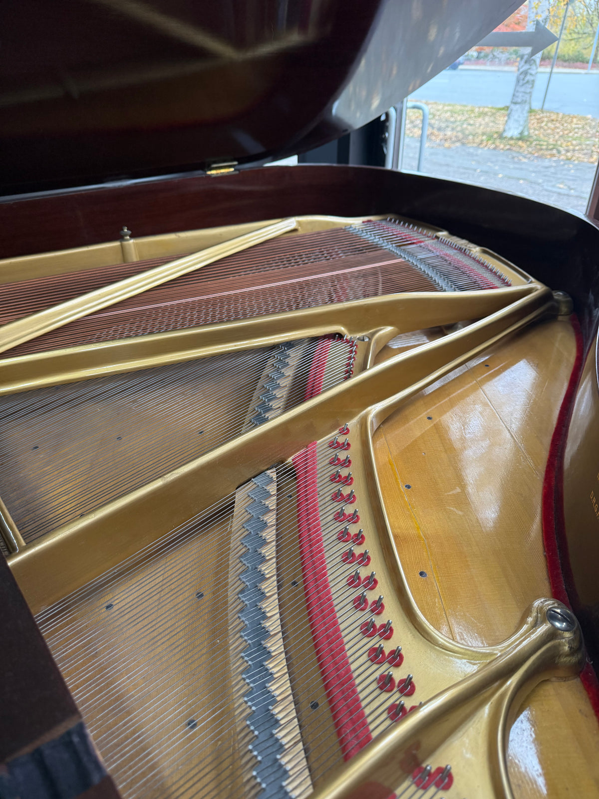 Grotrian Steinweg V11