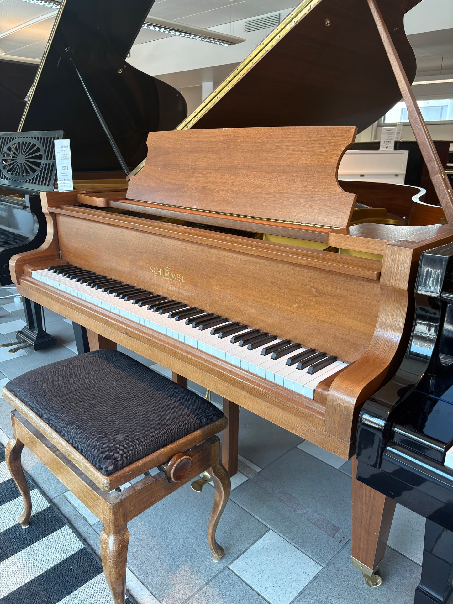 Schimmel 174T