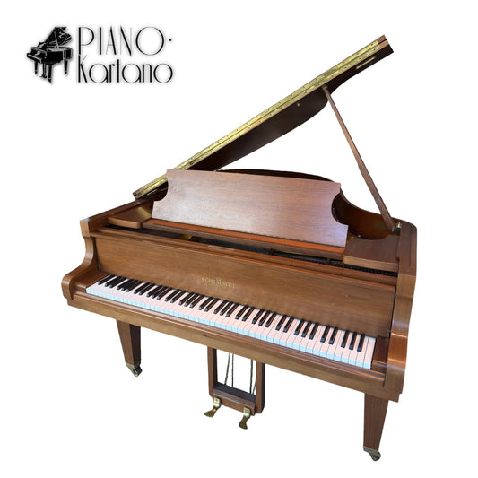 Schimmel 174T