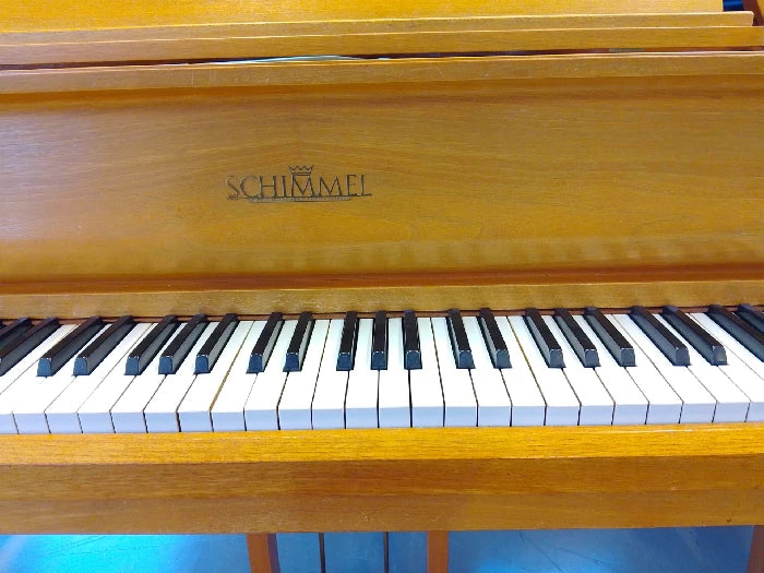 Schimmel 174T