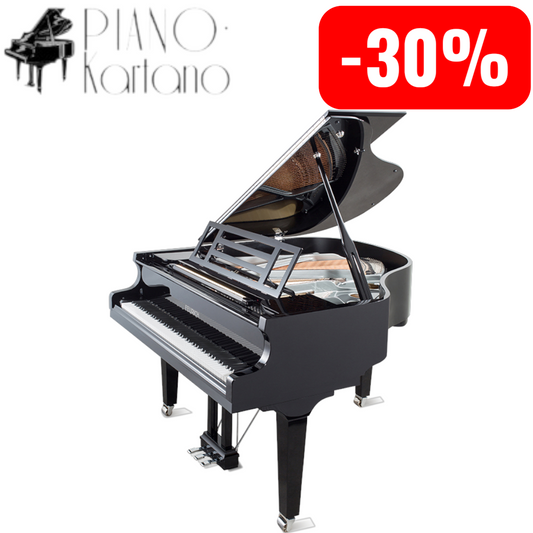 FEURICH MOD. 162 - DYNAMIC I
