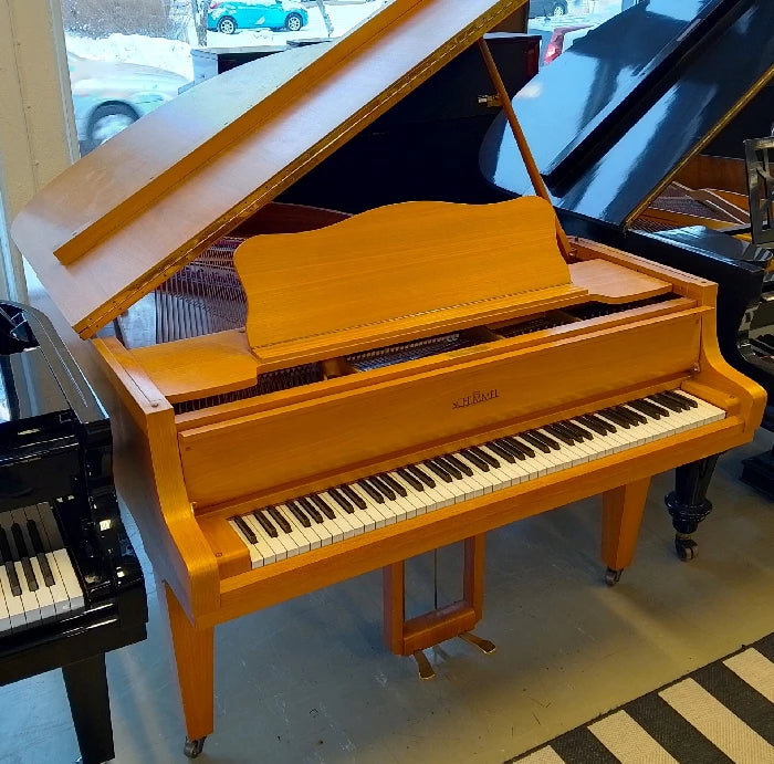 Schimmel 174T